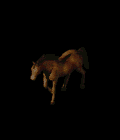 7.gif