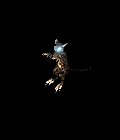 10.gif