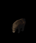 15.gif