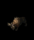 17.gif