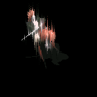29.gif