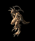 33.gif