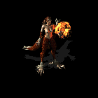 4.gif