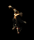 5.gif