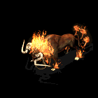 12.gif