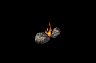8.gif