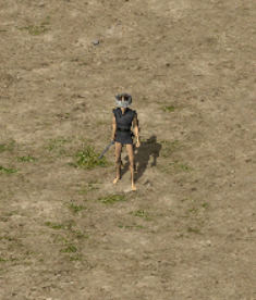 13.png