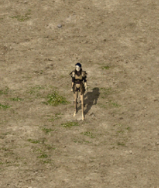 23.png