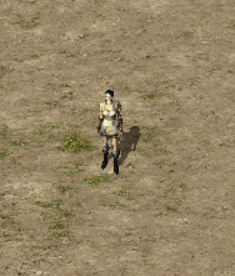 21.png