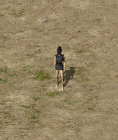 31.png