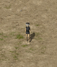 33.png
