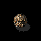 200542516125162.gif