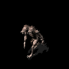 200542516125920.gif