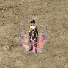200542520814878 (1).gif